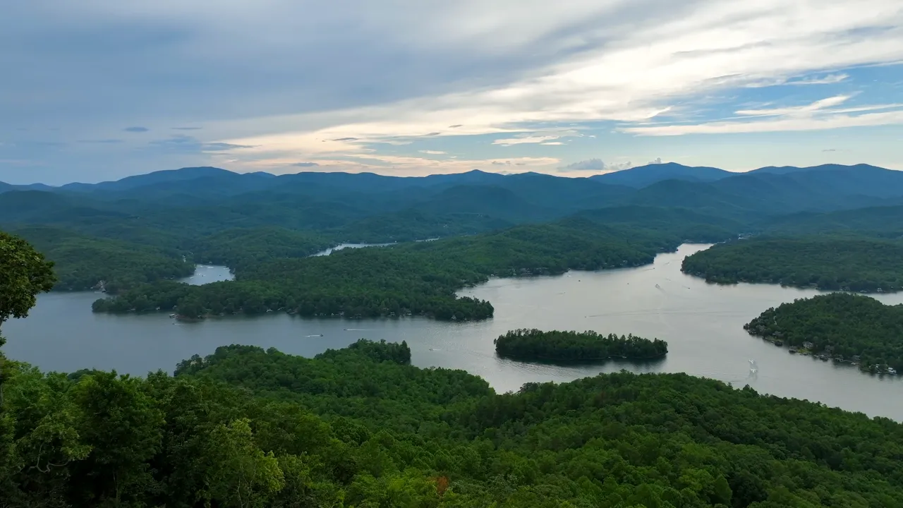 See the local activities