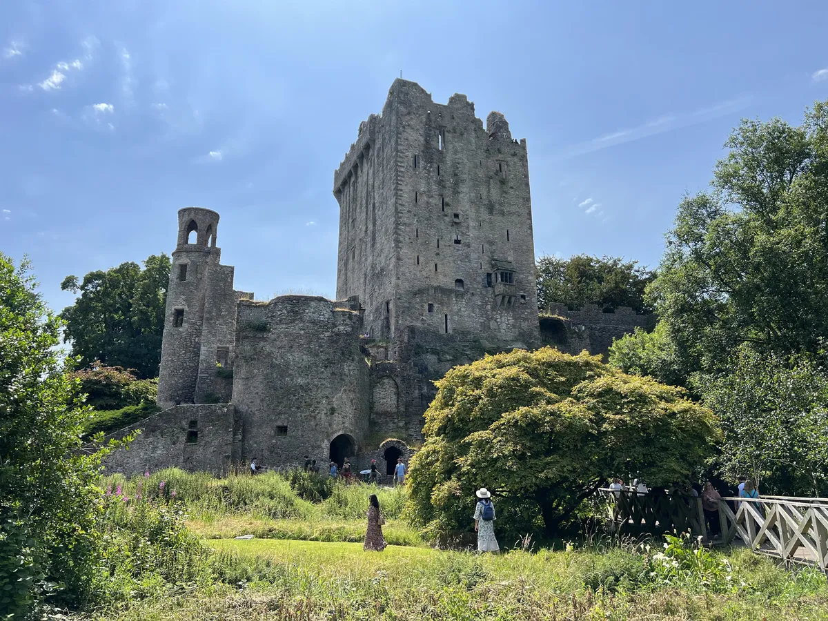 Wander existing unit