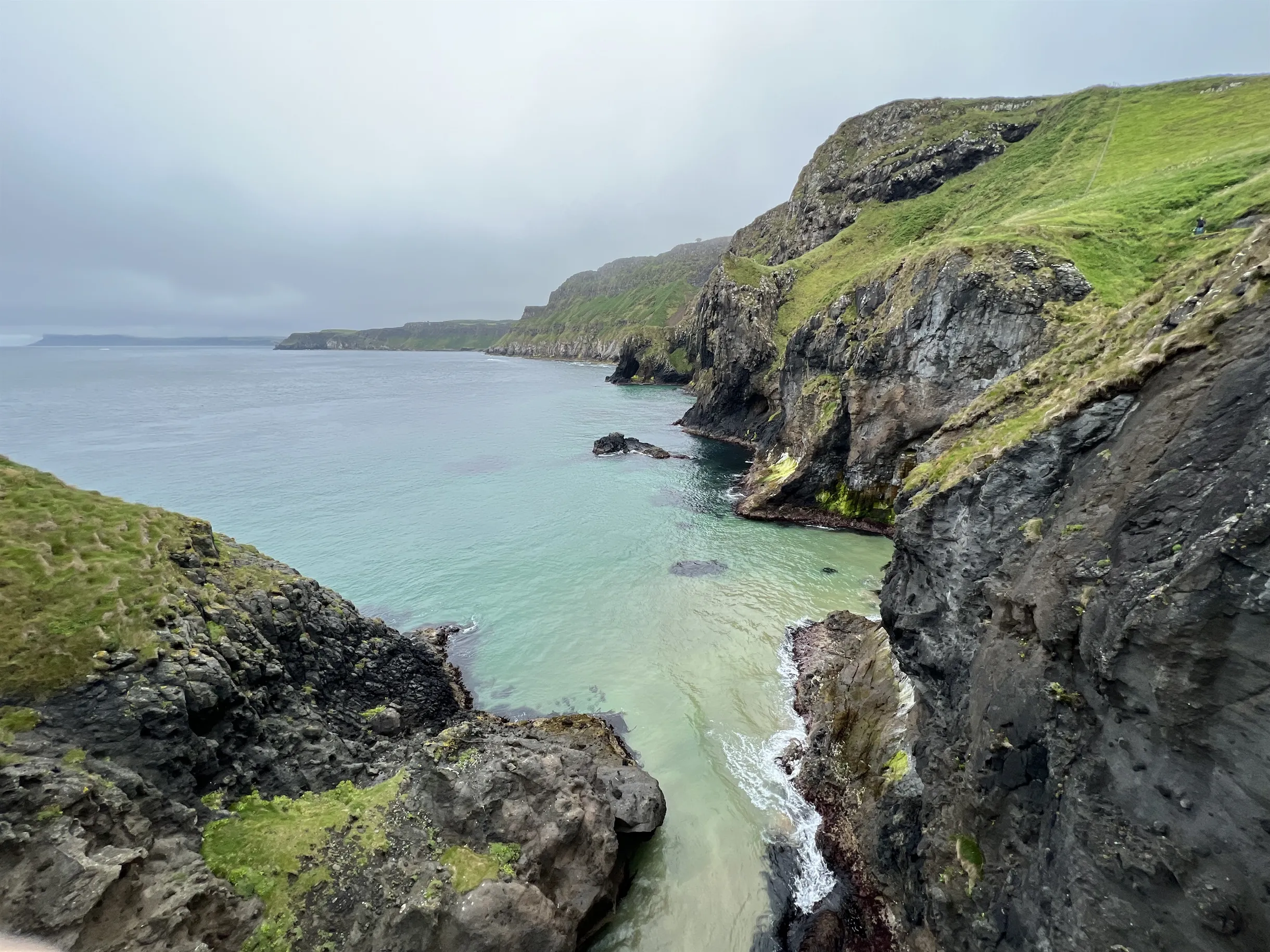 Wander existing unit #6