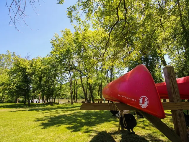 Wander existing unit #11