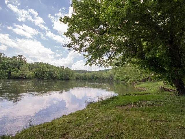 Wander existing unit #21