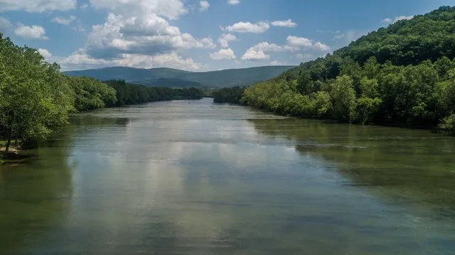 Wander existing unit #22