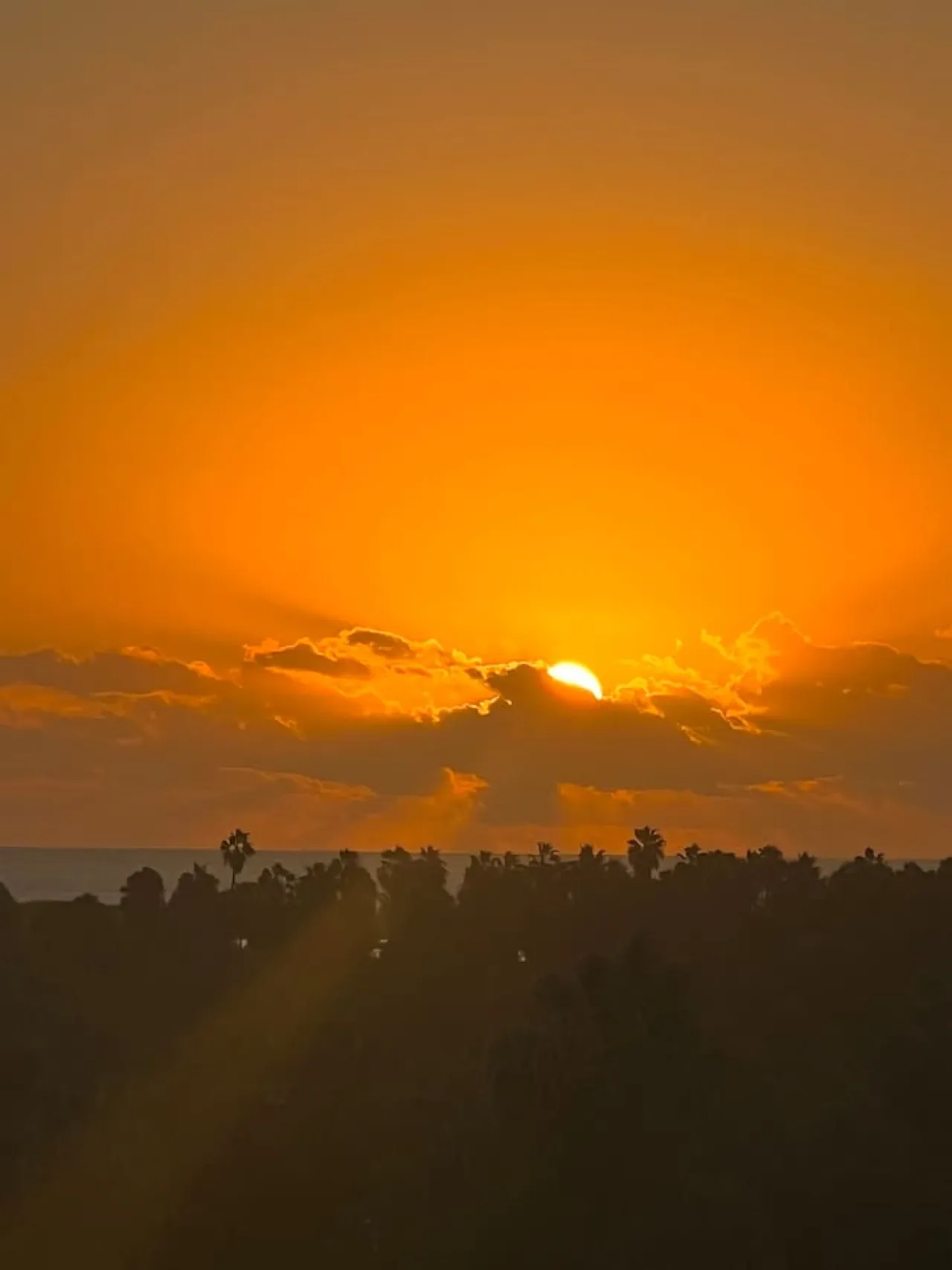 Casa KiKi (Penthouse by Beach & Town)