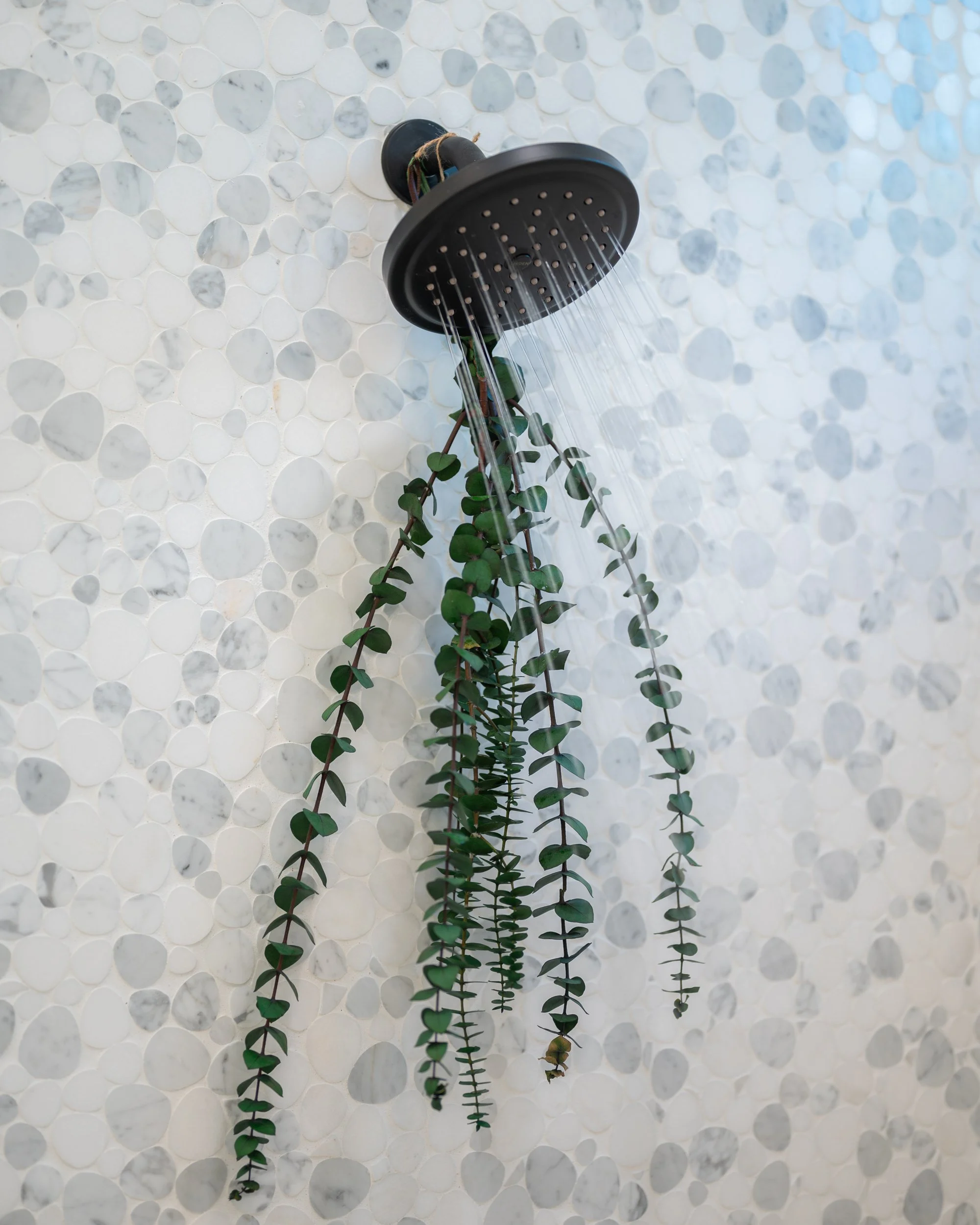 Bathroom 4 - Image 1