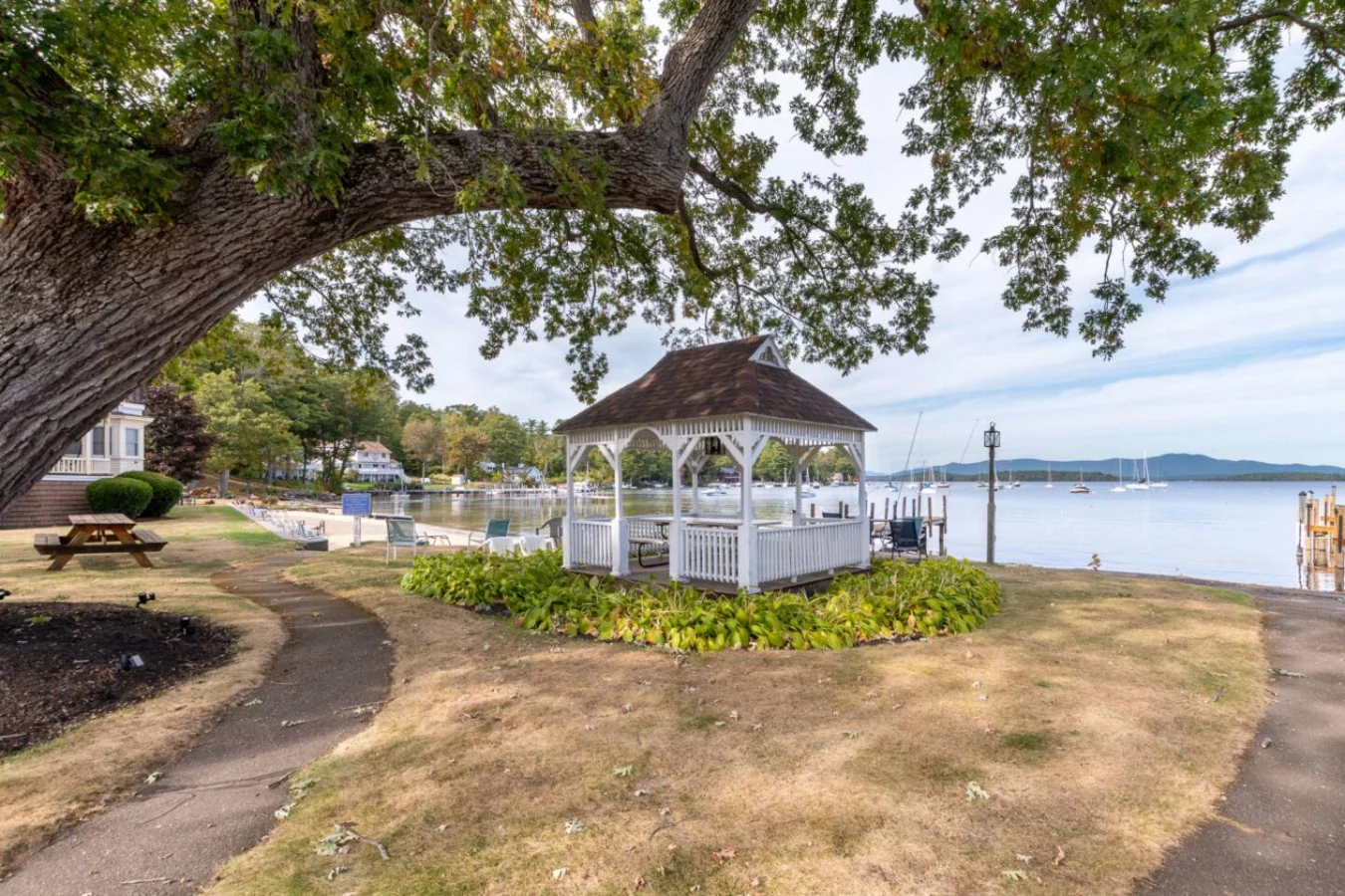 Sunny Shores - Lake days, Pool dips & Concerts