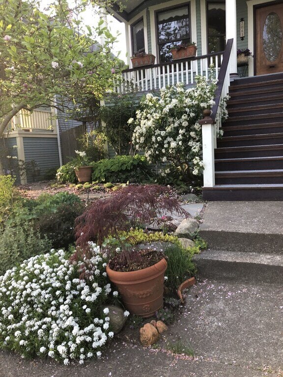 Annex Vancouver One Bedroom - Property B