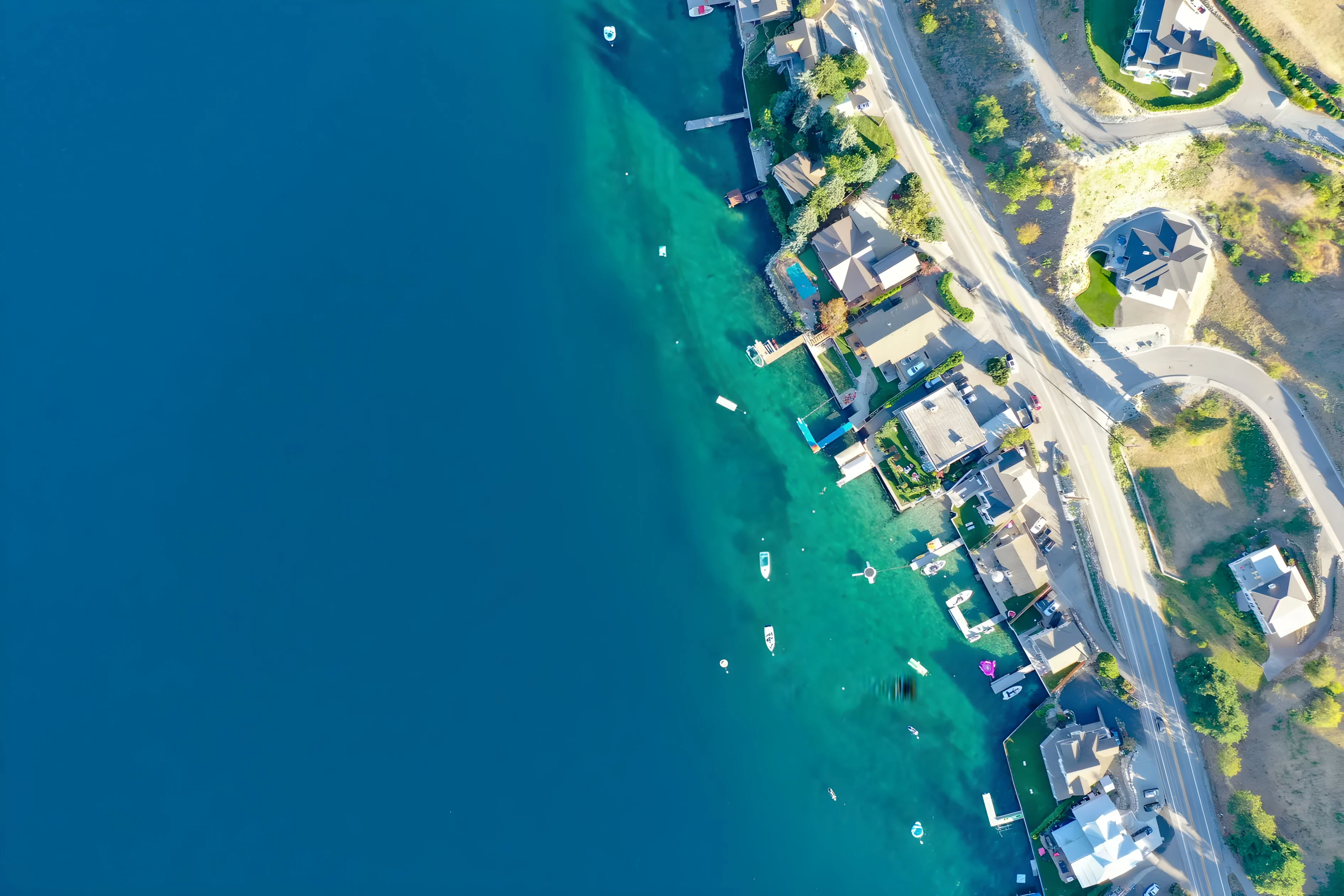 Starlight Birch Summit Eagle