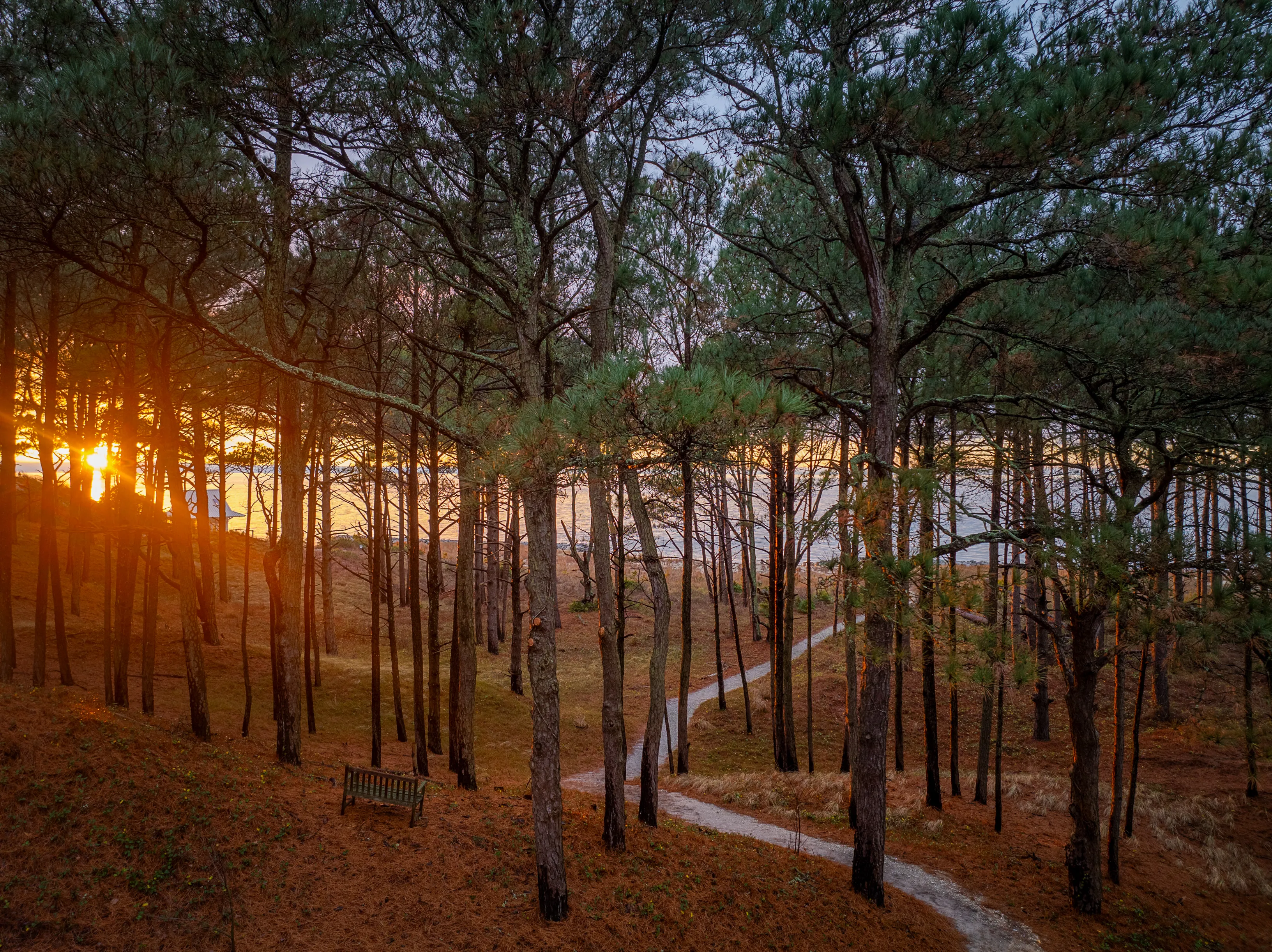 Sanctuary Beachside Meadow