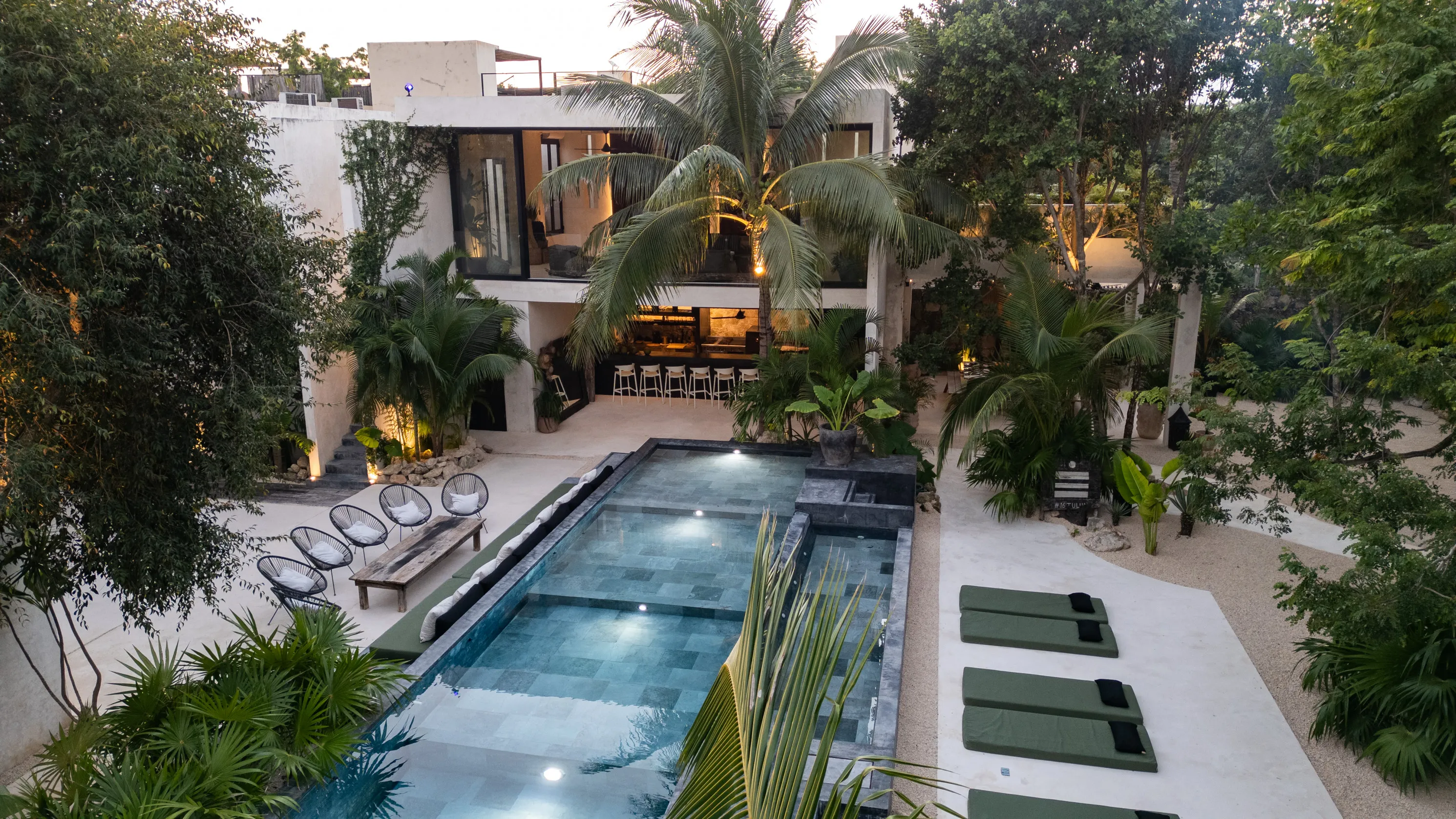 Oasis Grove Driftwood