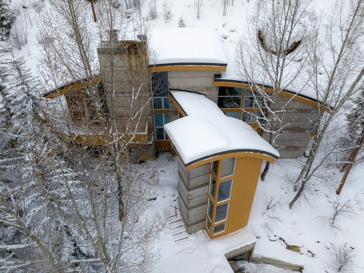 Cottage Birch Cedar Pearl - Image 4