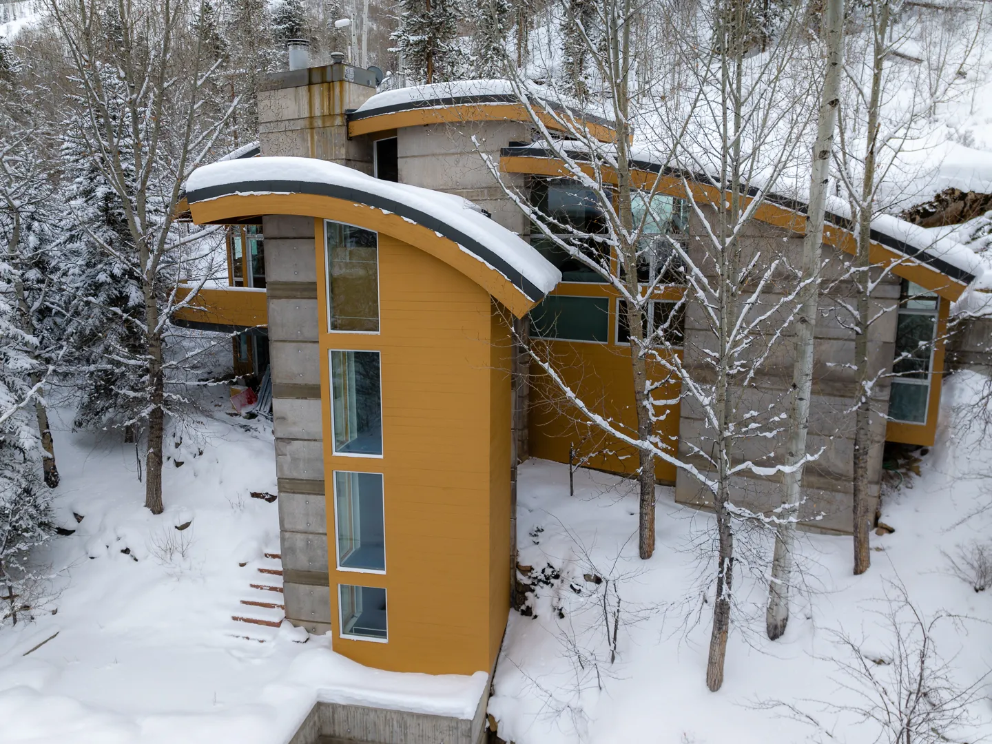 Cottage Birch Cedar Pearl - Image 2