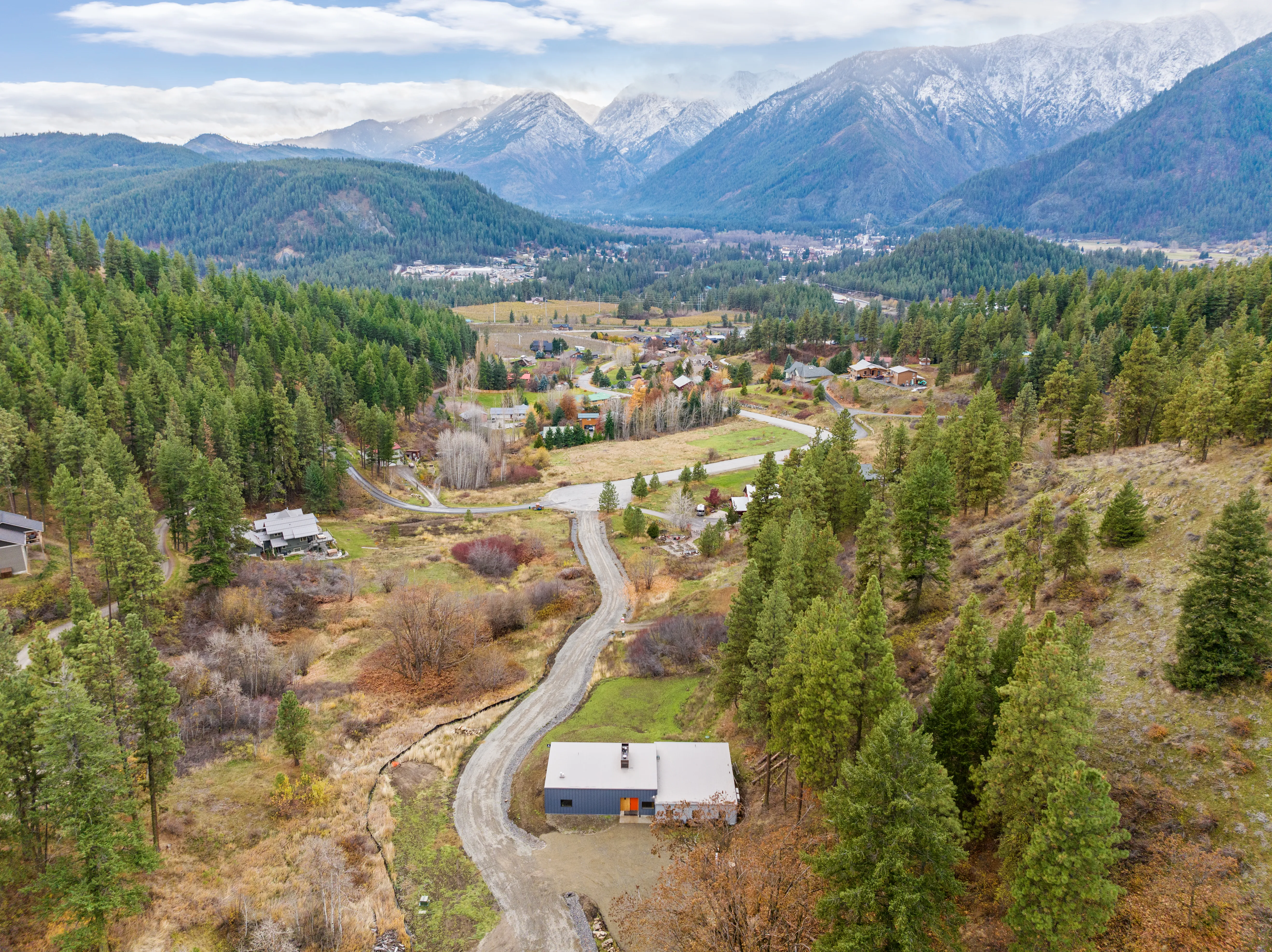 Harborlight Palm Aurora Cedar