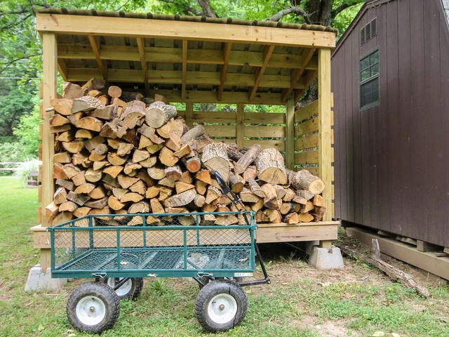 Bear Valley Got2Go #19