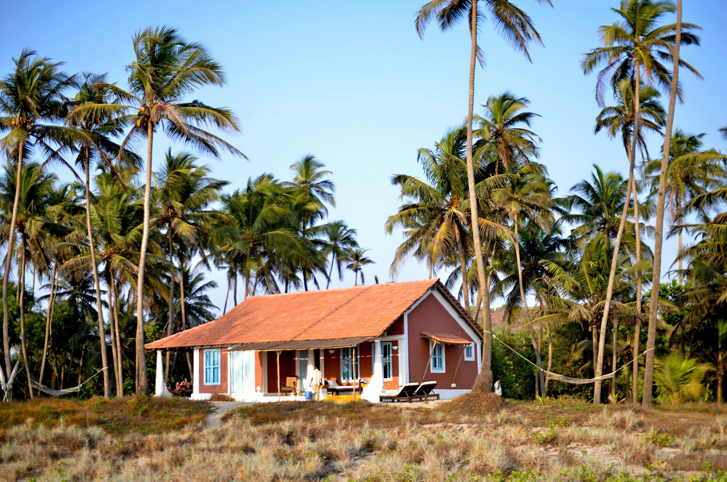 Wander Test Property