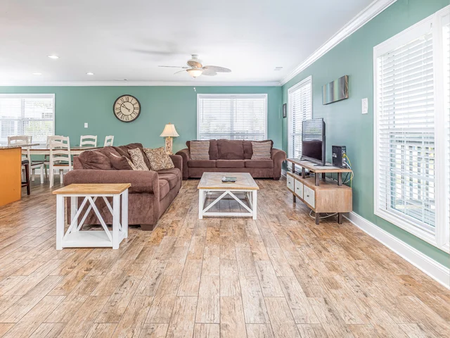 Wander Tybee Turtle #1