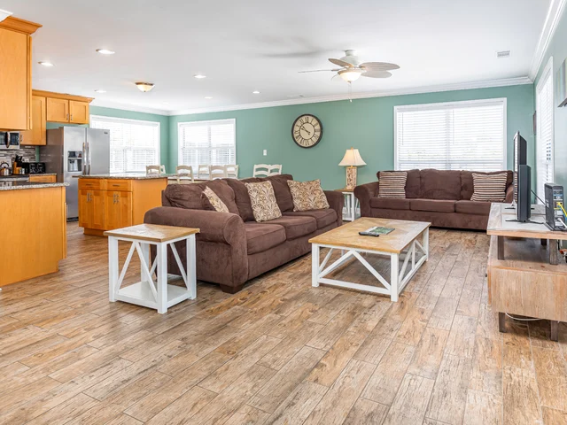 Wander Tybee Turtle #2