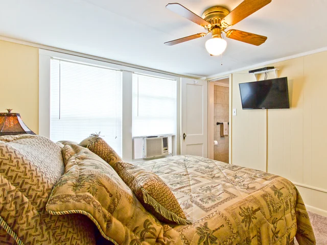 Wander Tybee Bluff #2