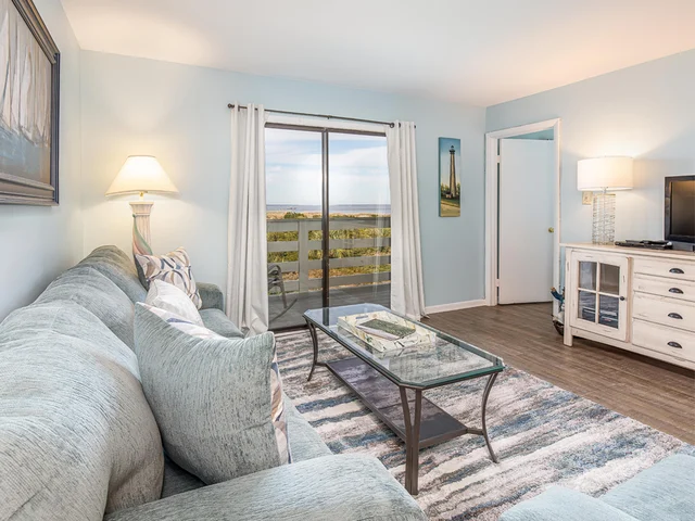 Wander Tybee Saltmarsh #2