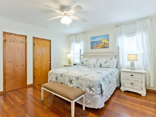 Wander Tybee Turtles #1