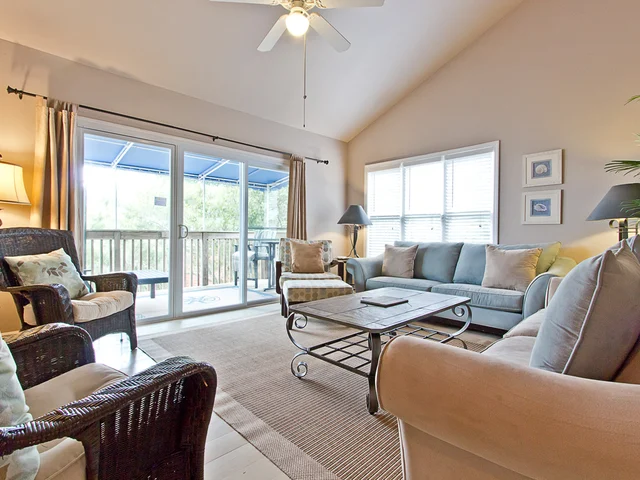 Wander Tybee Pelican #2