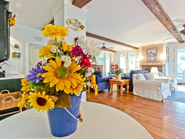 Wander Tybee Ocean Dunes #2