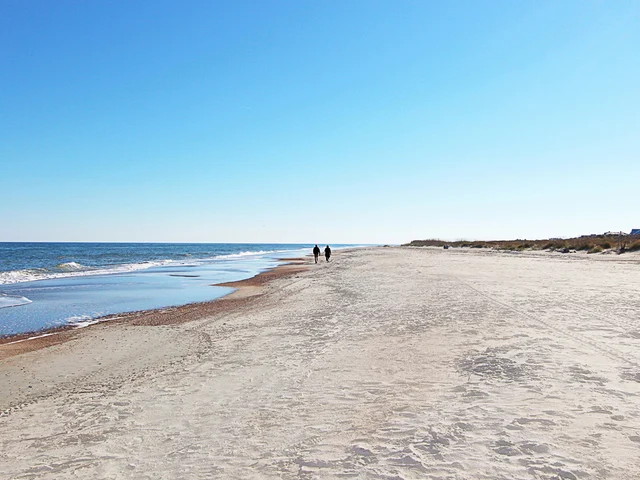 Wander Tybee Shores
