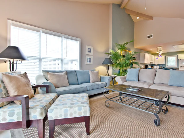 Wander Tybee Pelican