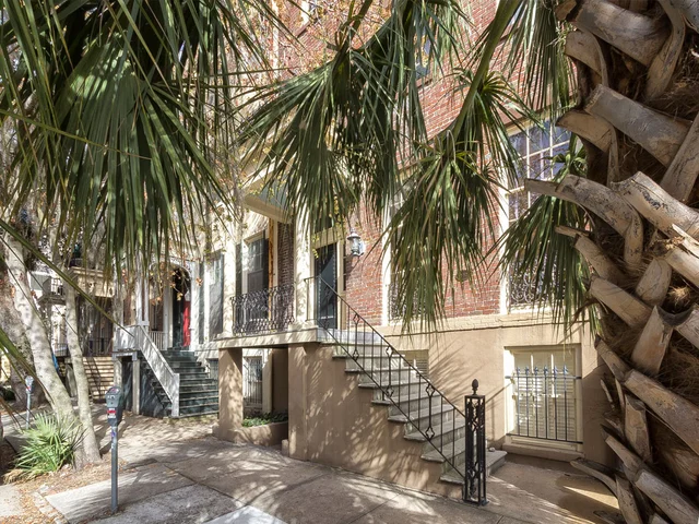 Wander Savannah Golden