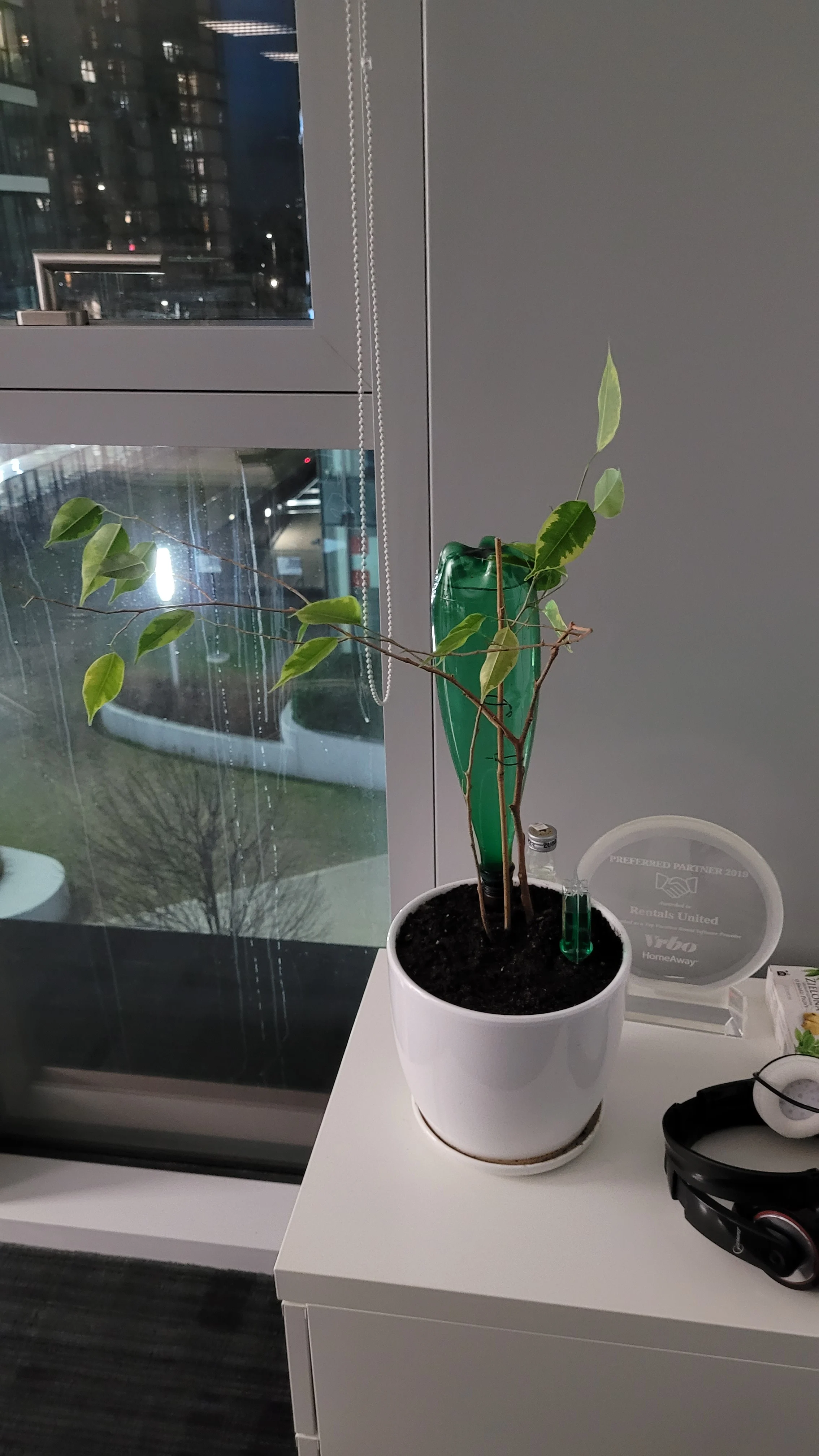 Wander Vistula Drift