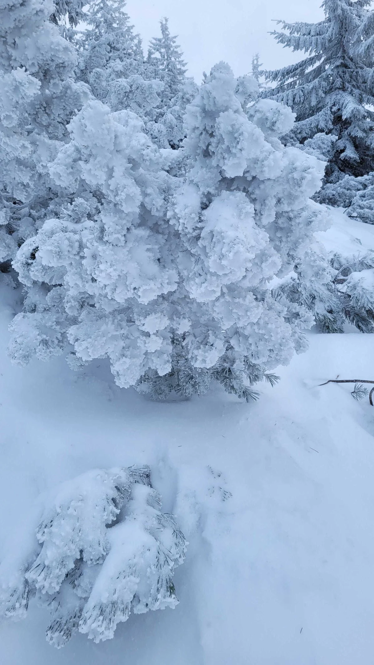 Wander Warsaw Boulevards