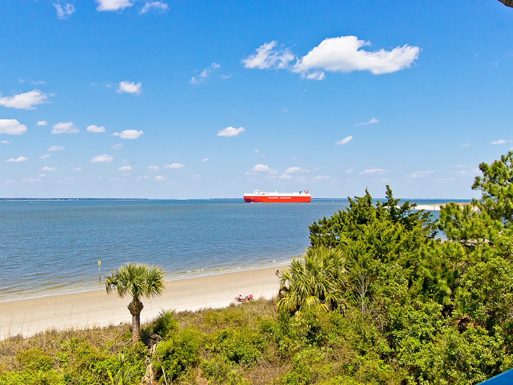 Beach Racquet A321 - Image 5
