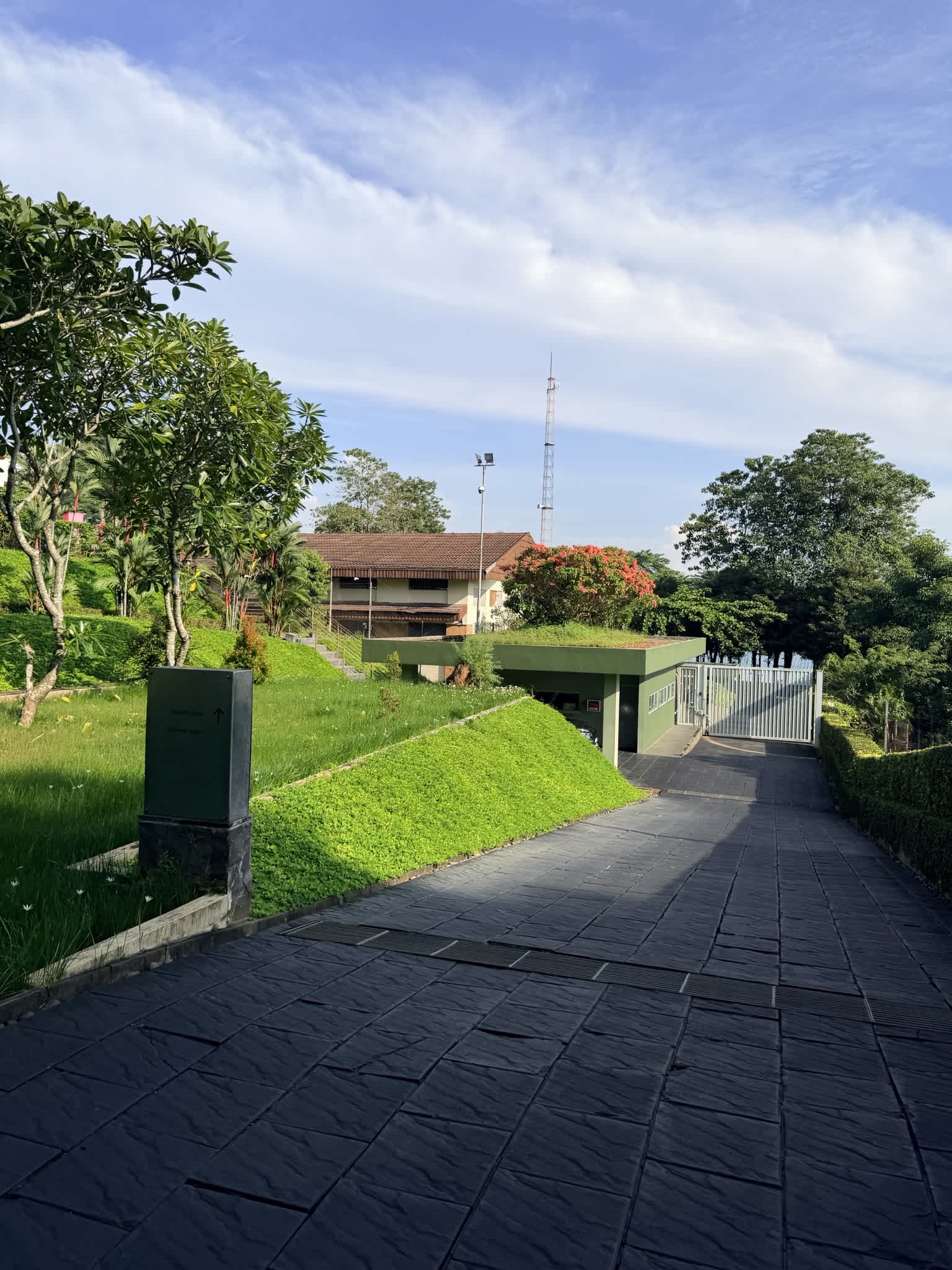 The Purple House