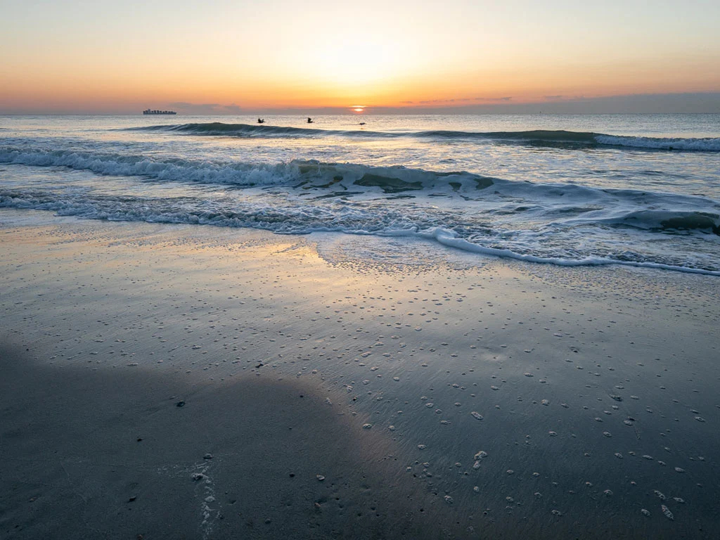 Seas The Day