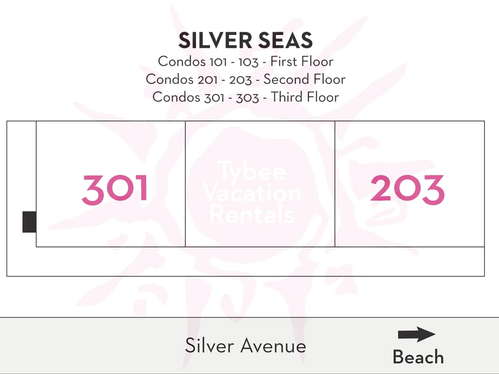 Silver Seas 301