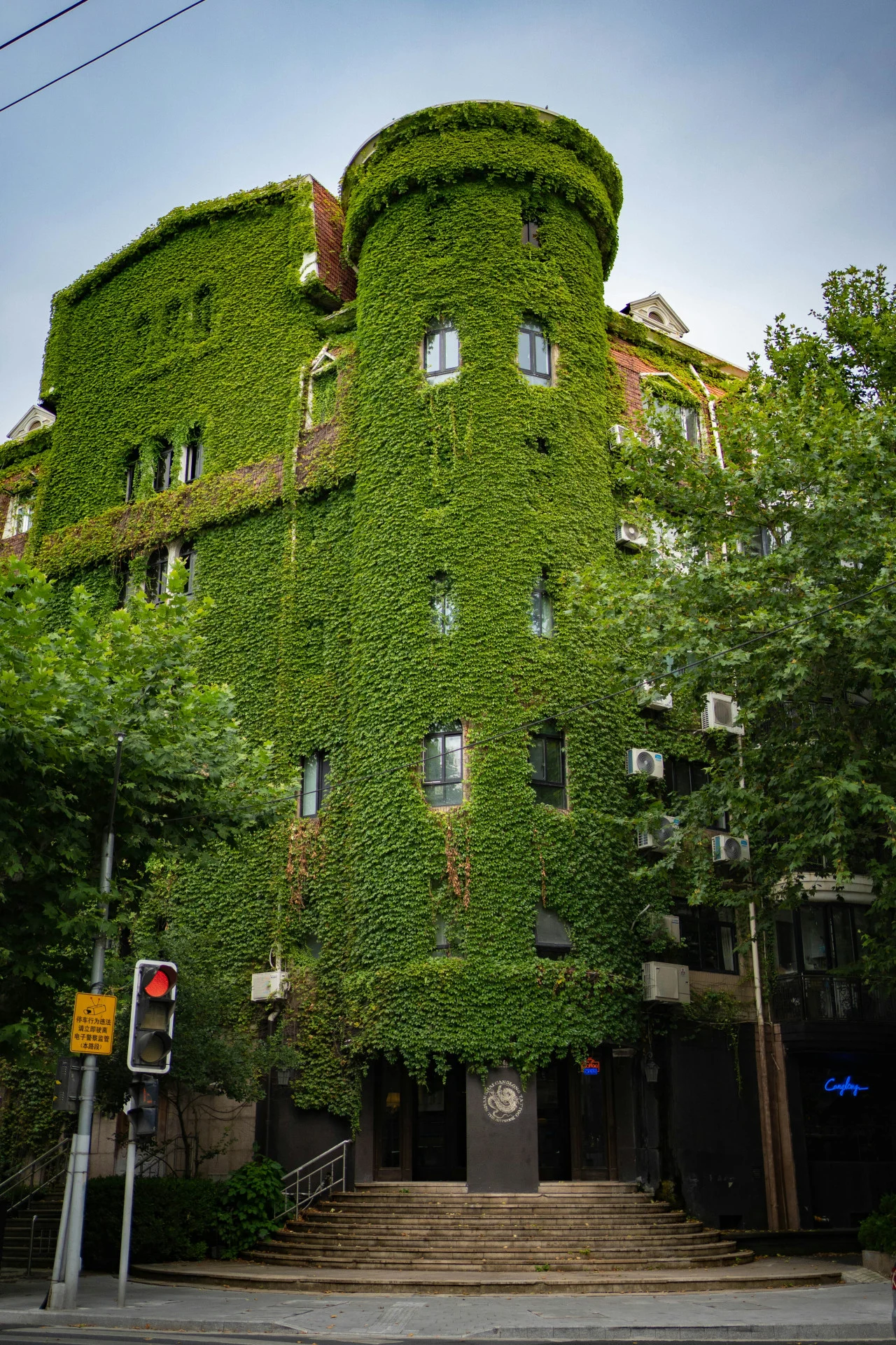 The Green House