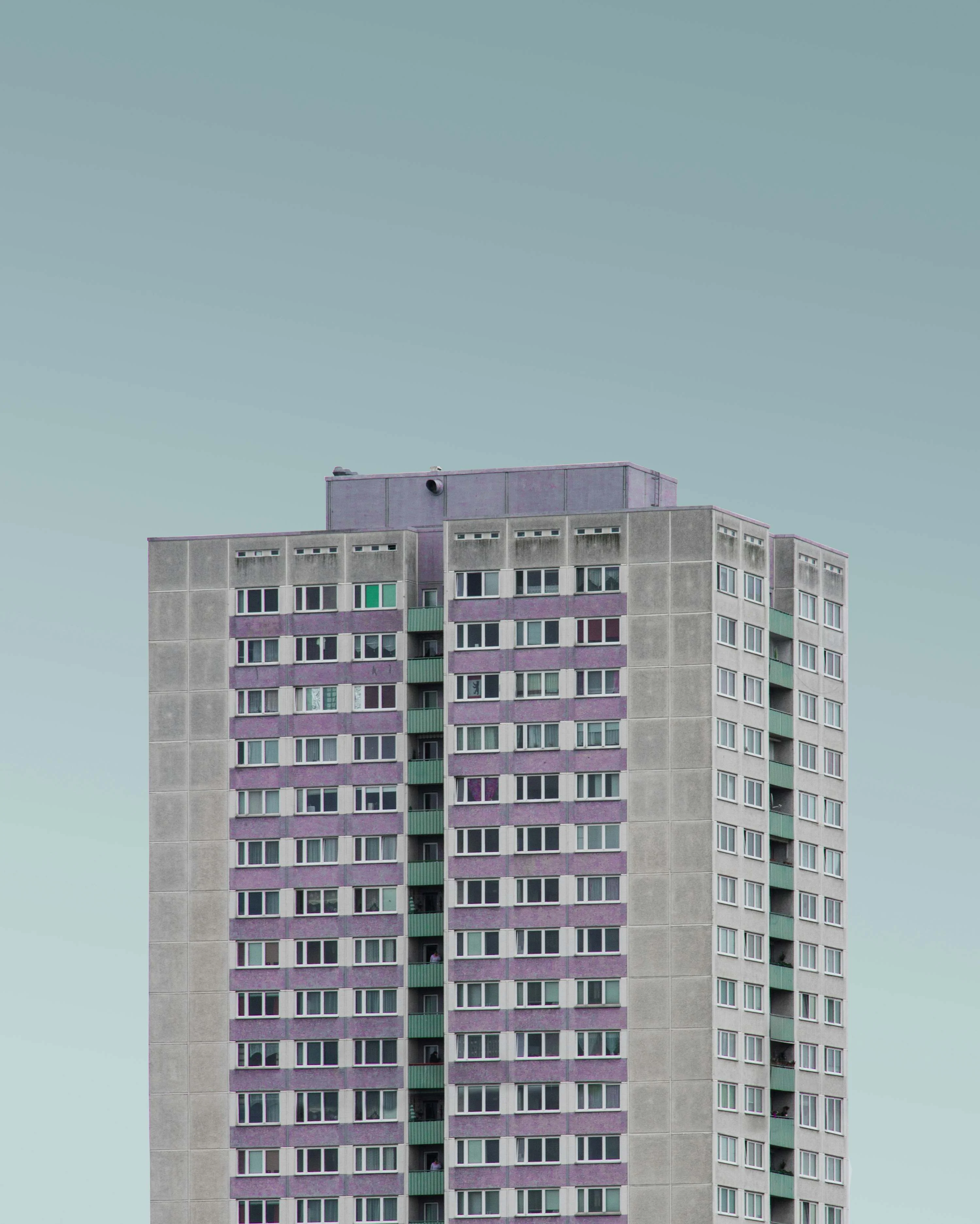 The Purple House