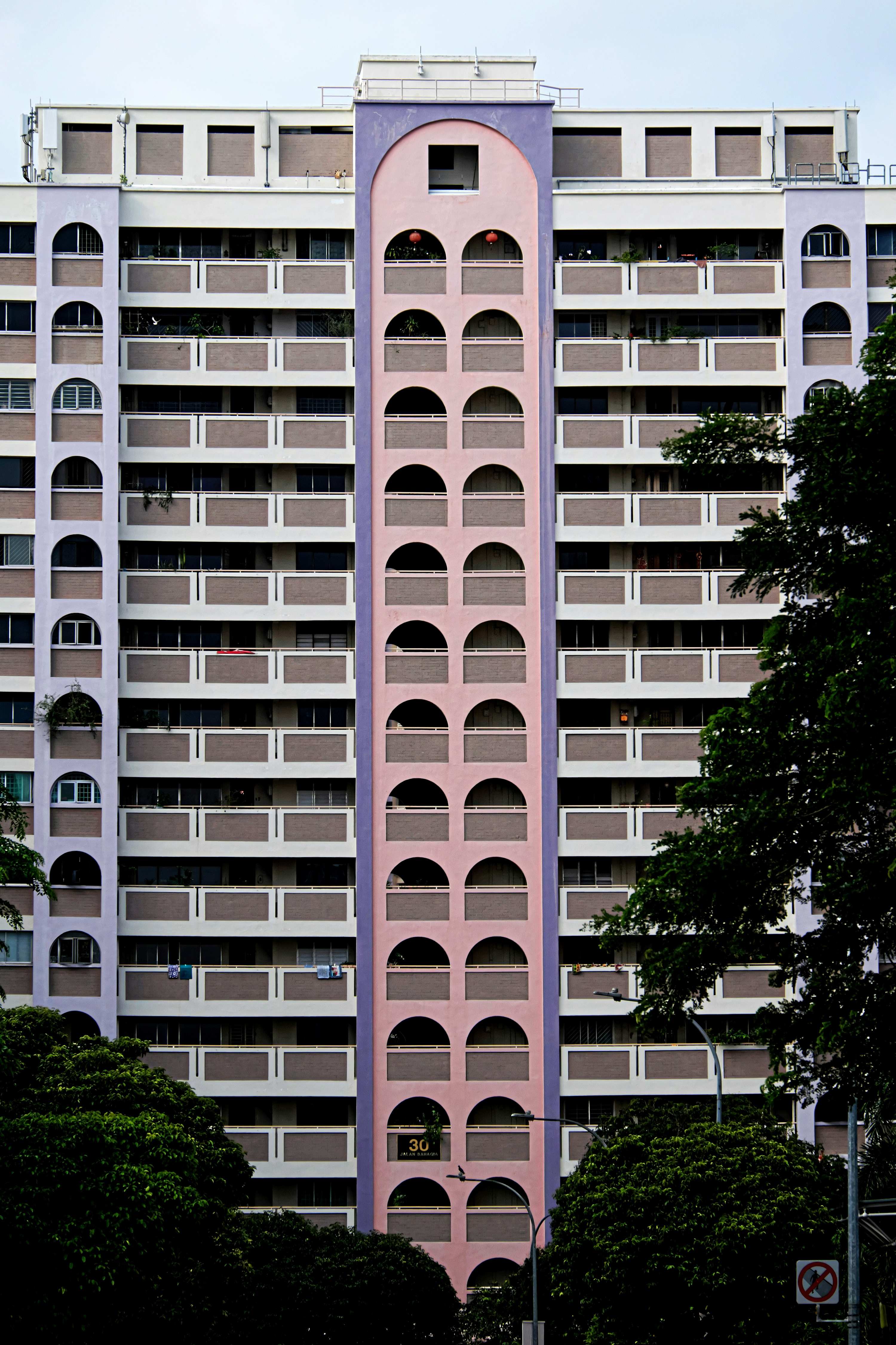 The Purple House