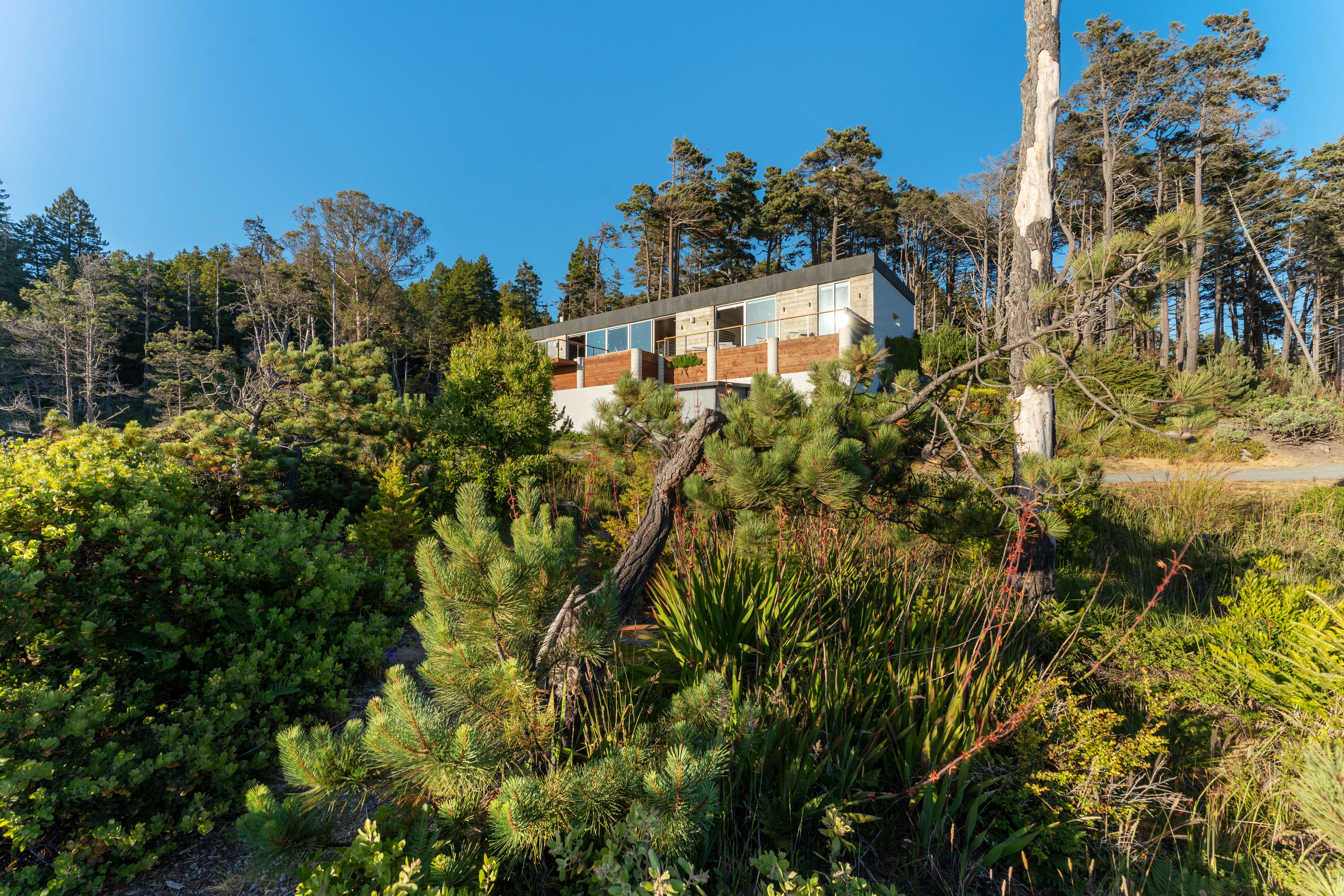 Manor Shell Stunning Seacliff