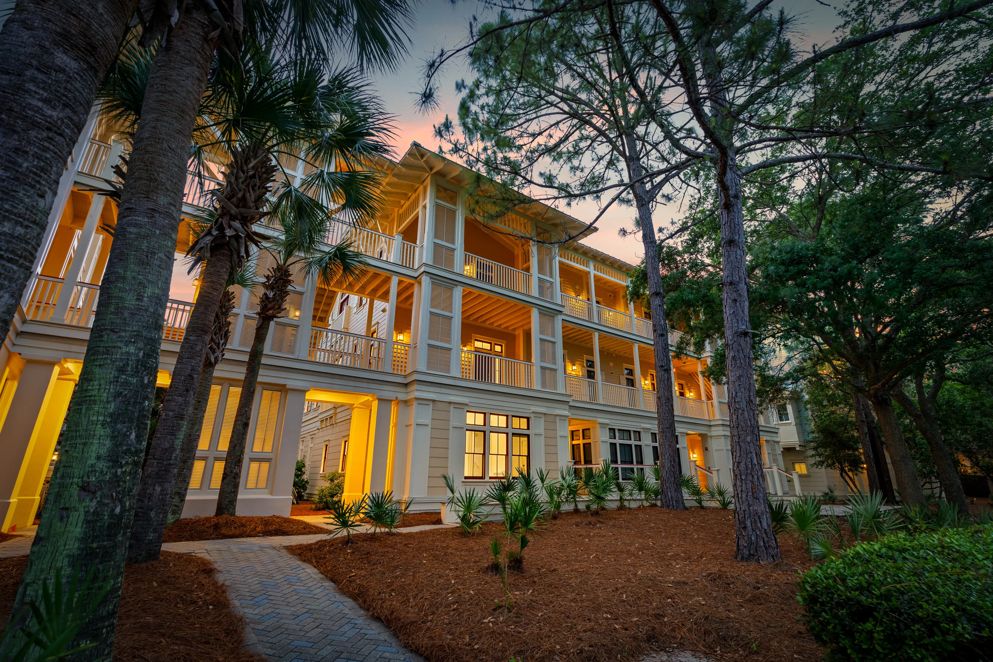 Pines Sunrise - Image 4