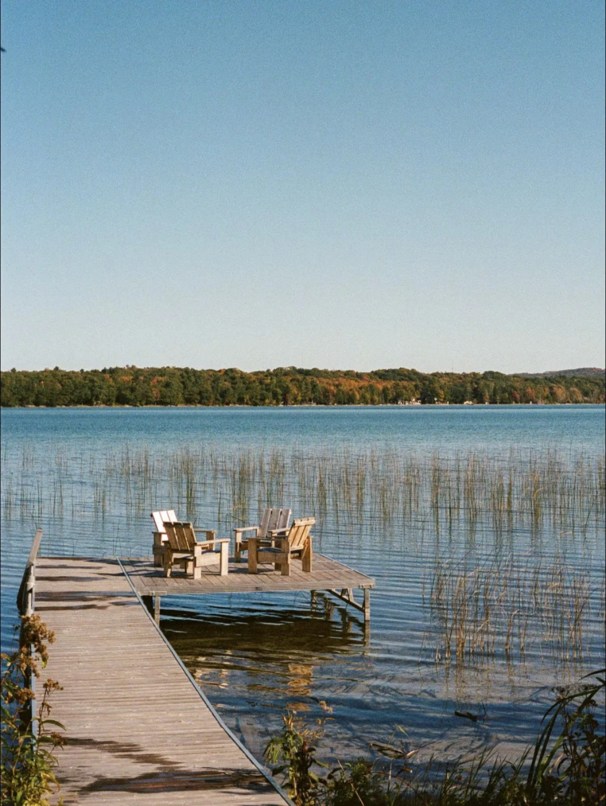 Forest Cabin at Parcel property photo 2
