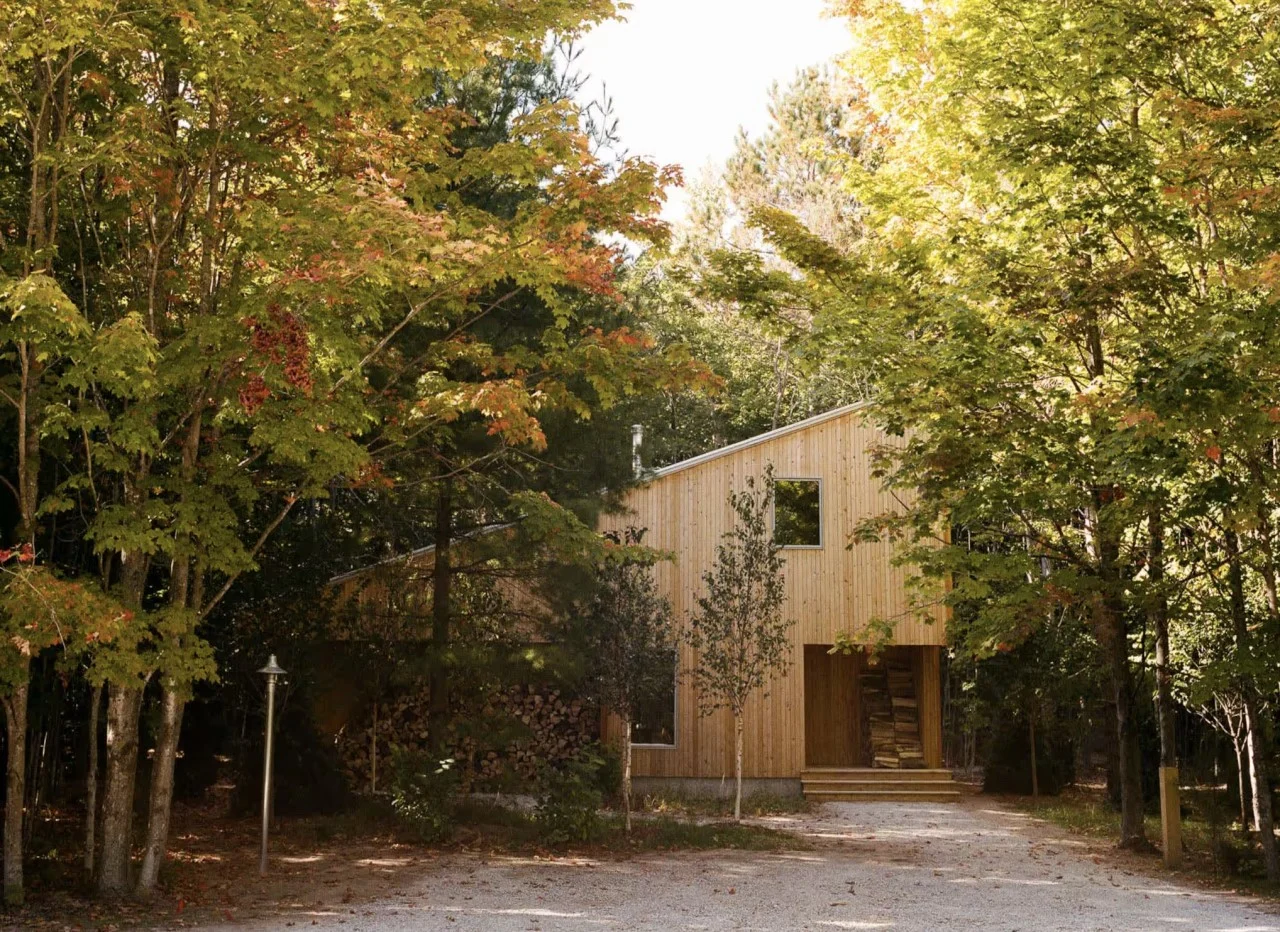 Forest Cabin at Parcel - Image 5