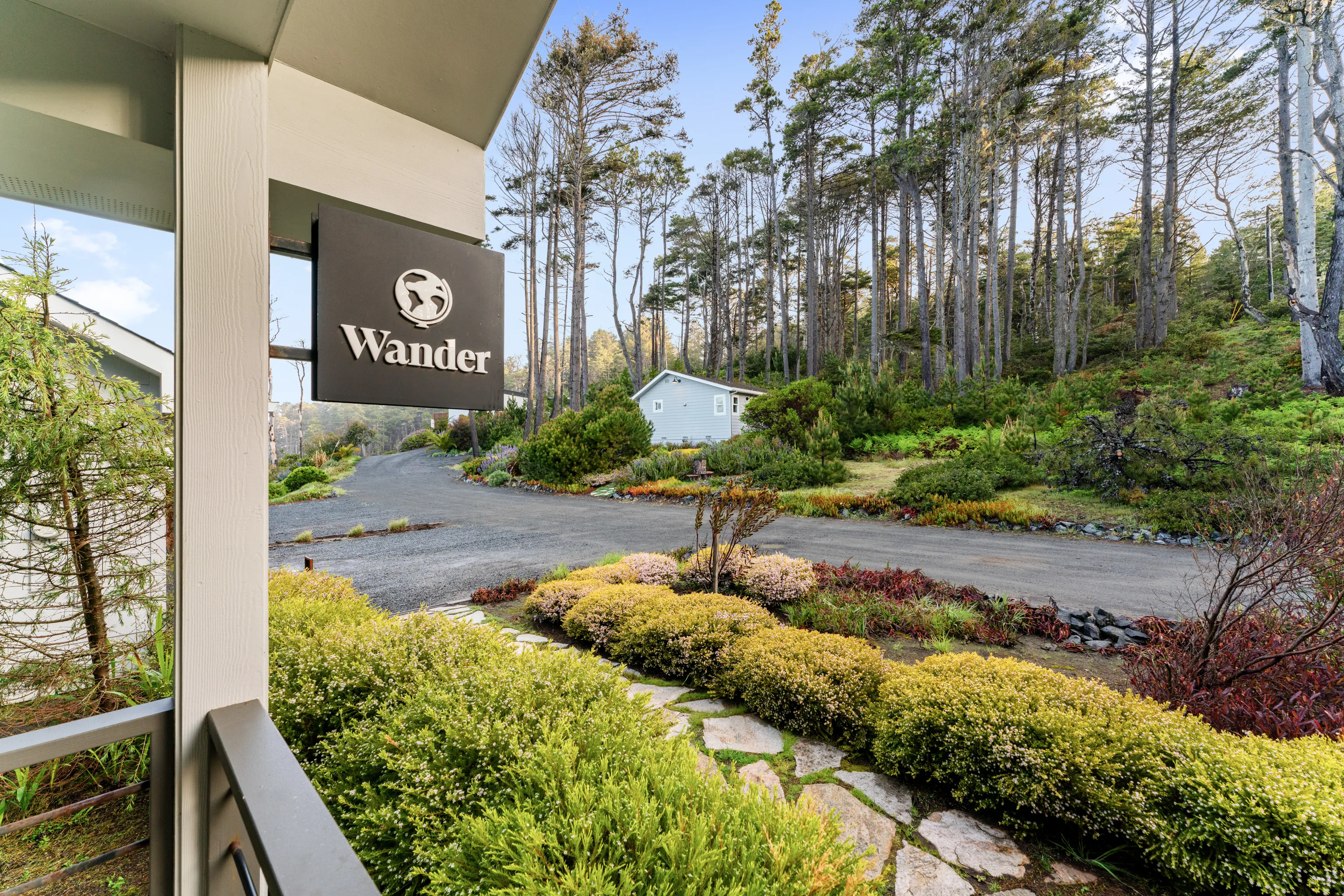 Oceanfront Deer - Image 5