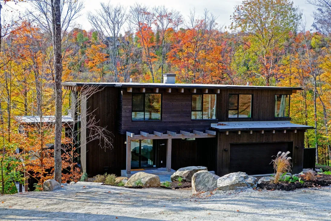 Cedar Coastal Grove - Image 1