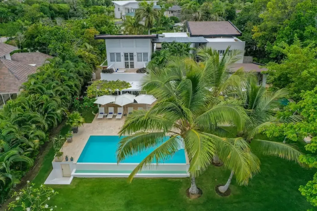 Haven Palm - Image 1