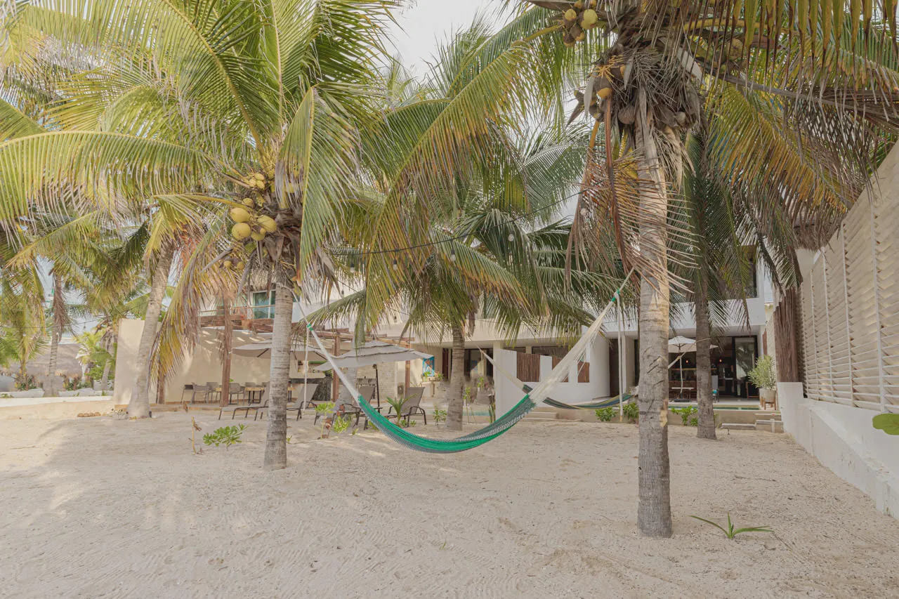 Haven Seacliff Harborlight - Image 4